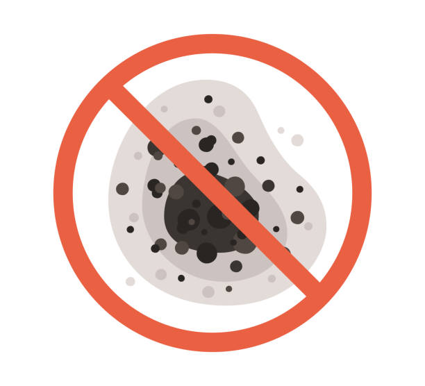 Reliable Leland, NC Mold Removal Solutions